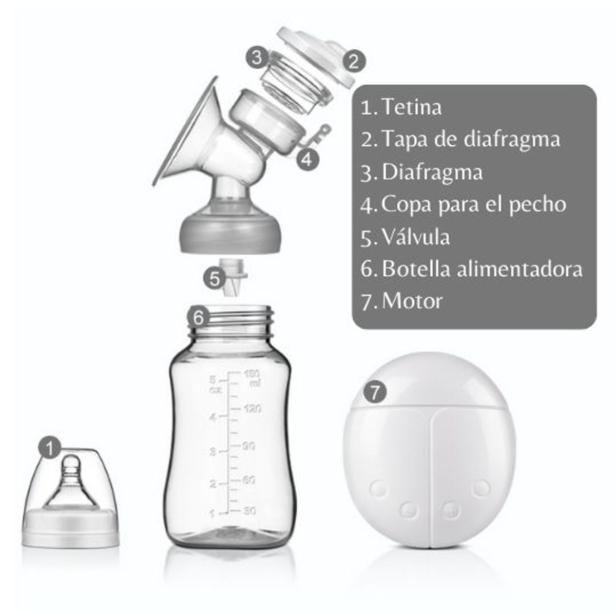 GENERICO - Extractor de Leche Eléctrico Doble