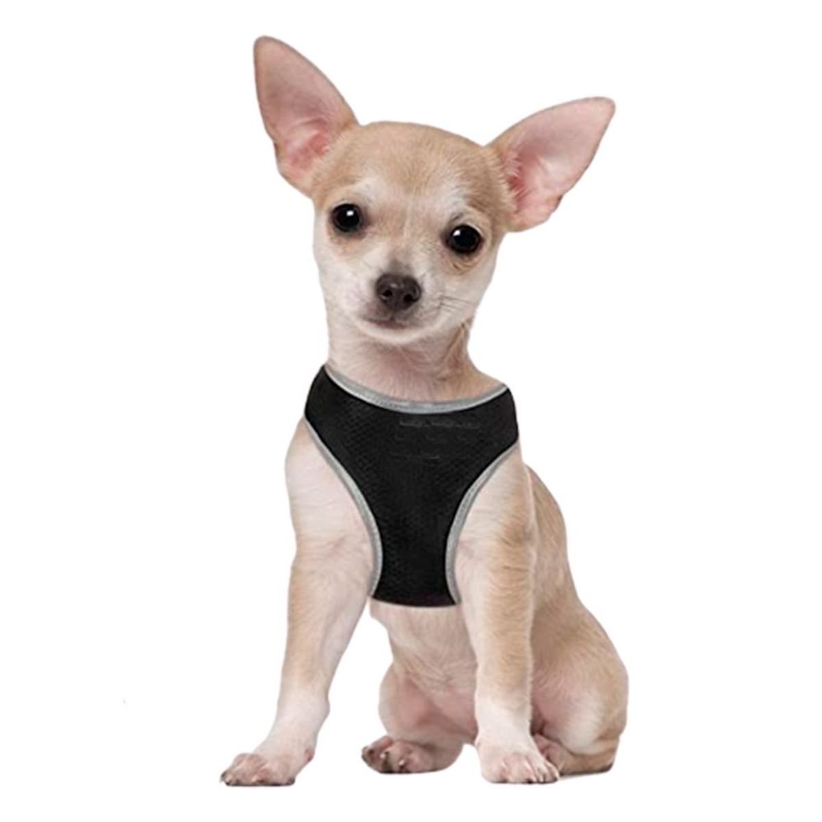 DOCO - Arnes De Perro Doco Athletica L Negro 47 A 50 Cm Y Regalo