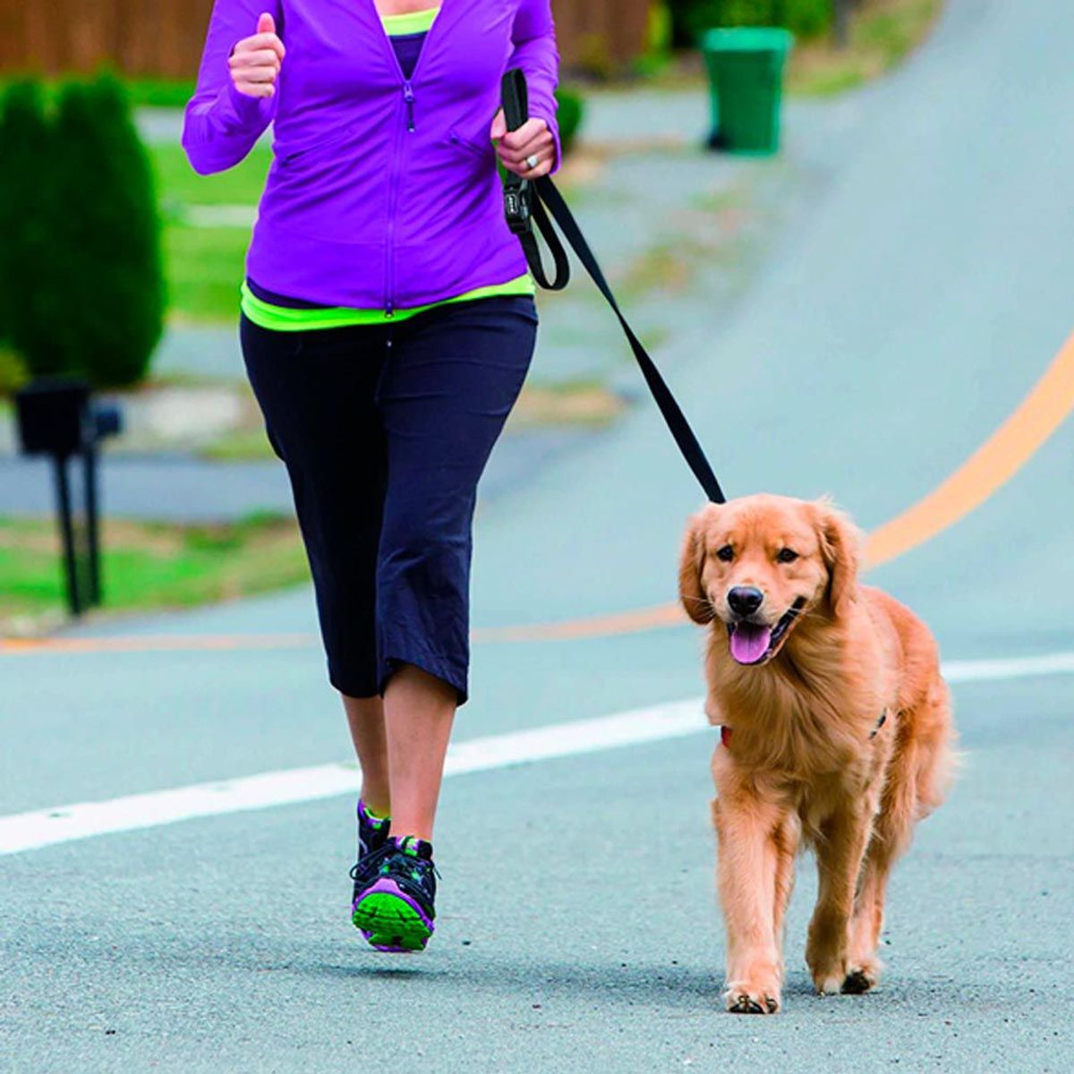 DOCO - Correa De Perro Doco Nylon 4Ft L Plomo 120 Cm Con Regalo