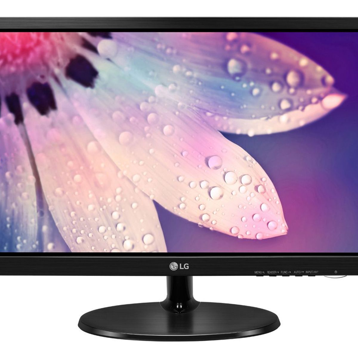 LG - Monitor LG 18.5" LED WIDE Black 1366 x 768 - 19M38A-B