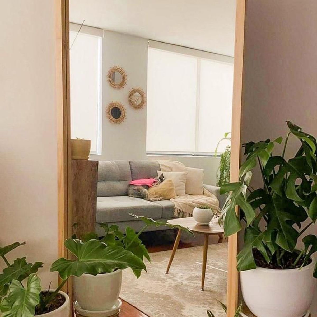 GENERICO - Espejo KOLOSS Natural 180 x 80 cm Vidrio Belga 4 mm