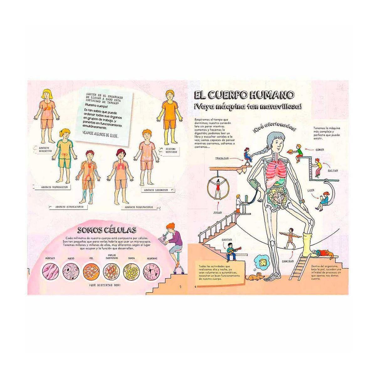 LEXUS - El cuerpo humano