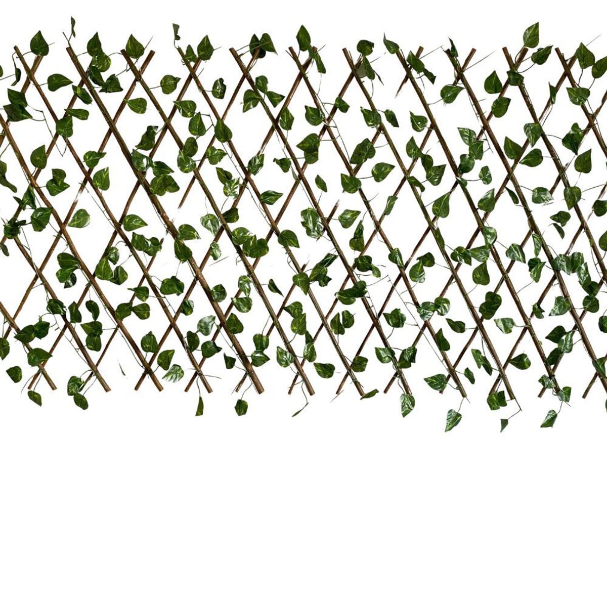 FLORIPA - Cuadricula Mediana De Hoja Tipo Jiboia 4104 FLORIPASTORE