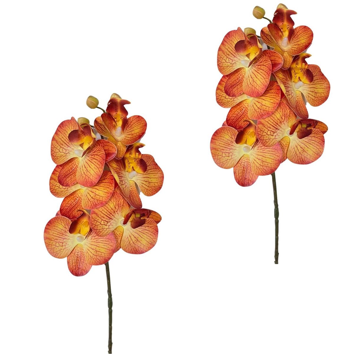 FLORIPA - Pack de 2 Varas De Orquidea Floripa Sy01462-18 FLORIPASTORE