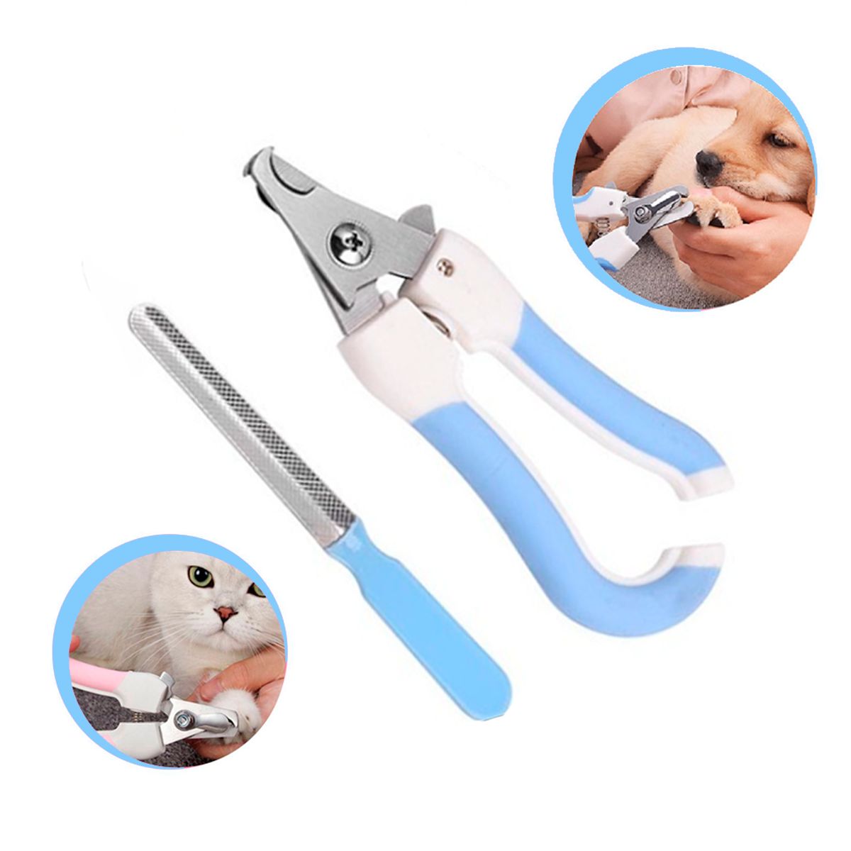 GENERICO - Cortauñas para Mascotas con Lima - Celeste