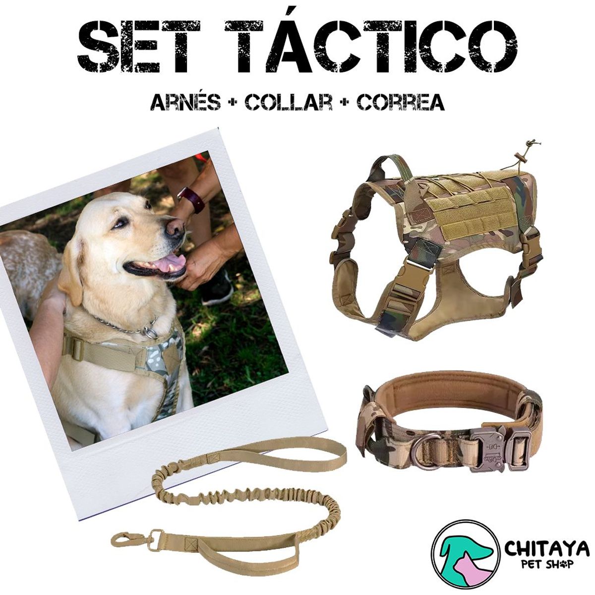 CHITAYA PET SHOP - Set Táctico Chitaya Pet Shop - Camuflado - Extra Large