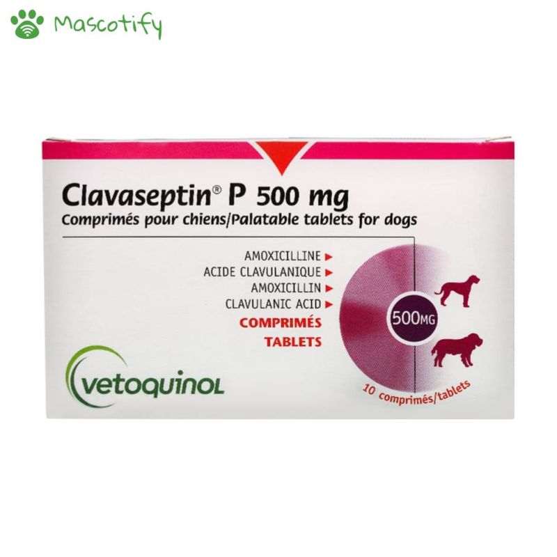 GENERICO - Vetoquinol Clavaseptin 500Mg