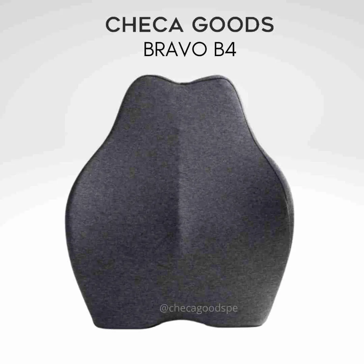 CHECAGOODS - Respaldar para cuidado de Espalda Ergonómico Checa Goods B4 Gris
