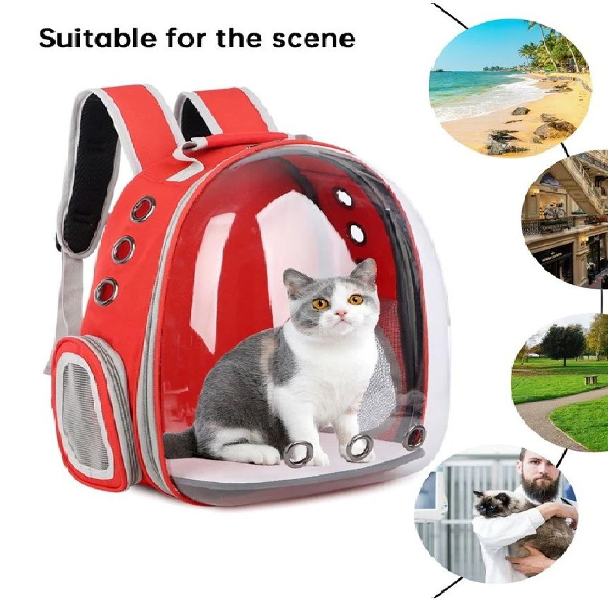 GENERICO - Mochila Transportartadora Para Gato Perro-Mascotas