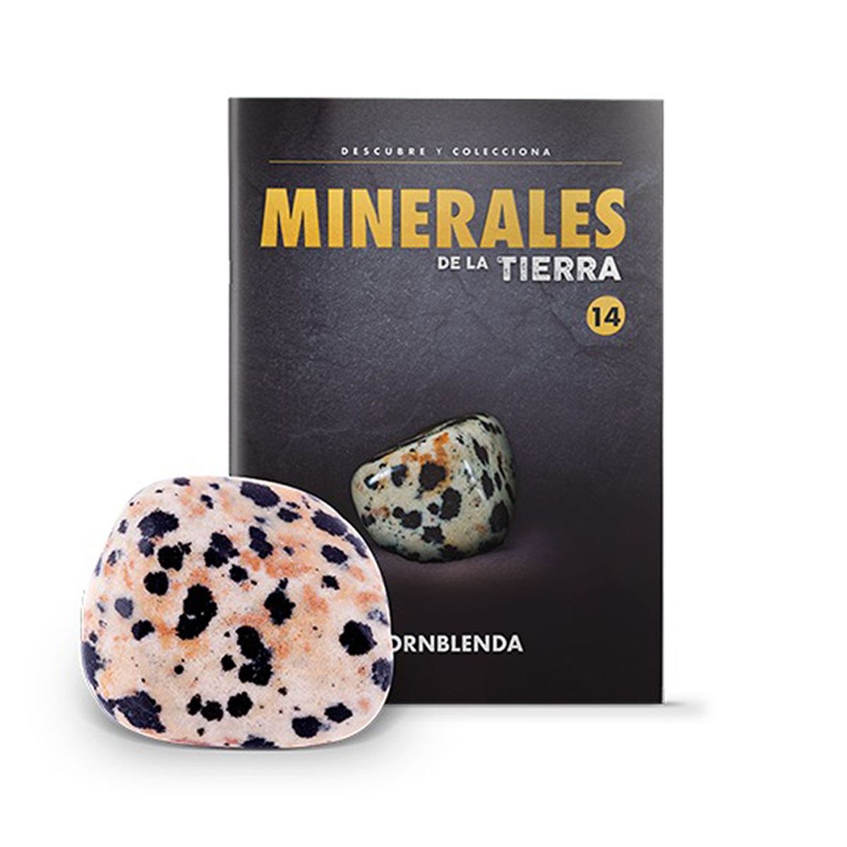 GENERICO - MINERALES DE LA TIERRA - HORNBLENDA PULIDA