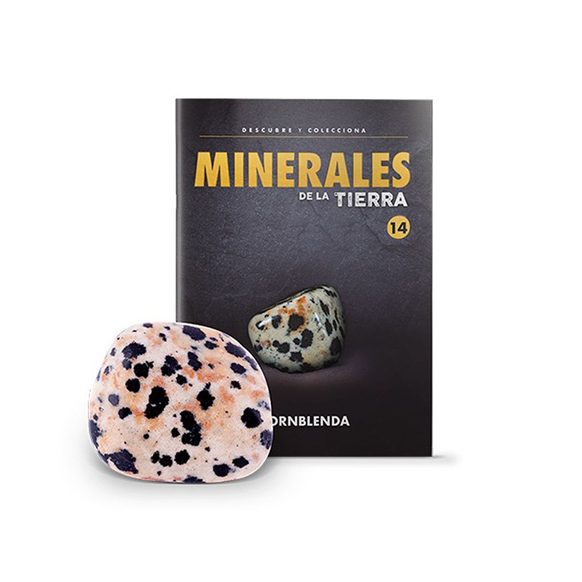 GENERICO - MINERALES DE LA TIERRA - HORNBLENDA PULIDA