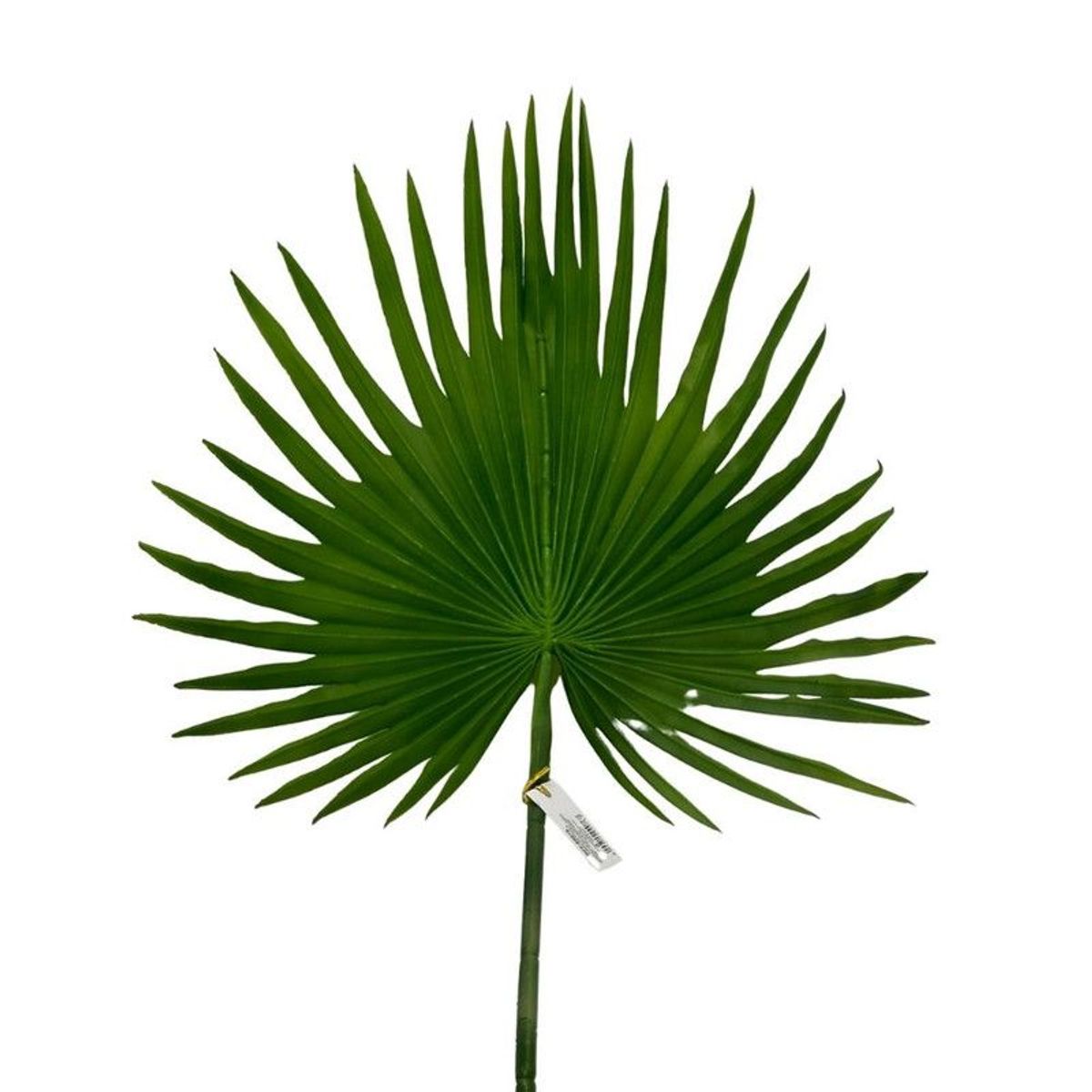 FLORIPA - Follaje De Lluvia De Oro de 90Cm 00076 FLORIPASTORE
