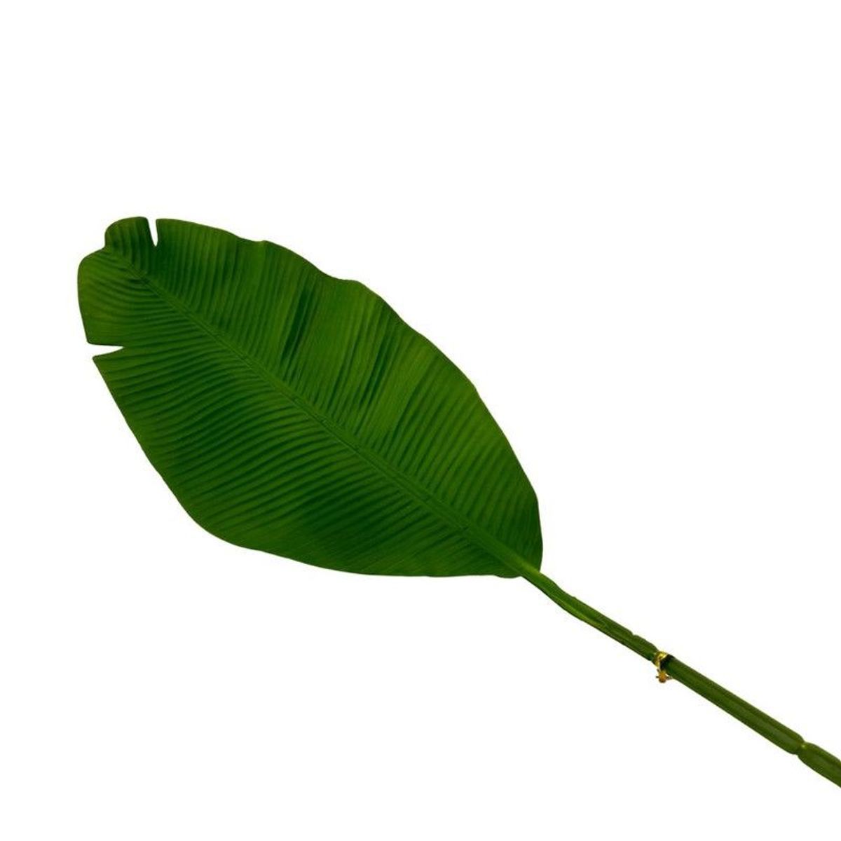 FLORIPA - Follaje De Plátano de 96Cm 00074 FLORIPASTORE