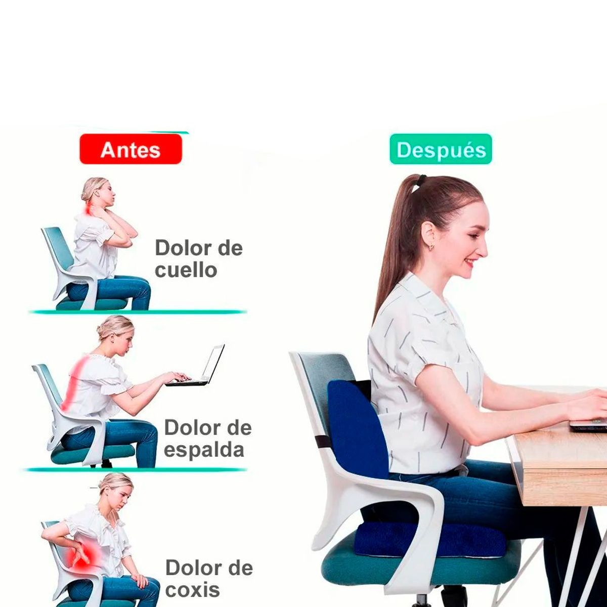 PERUMASSAGE - Cojín De Asiento con Gel Y Almohada De Soporte Lumbar Coche Oficina