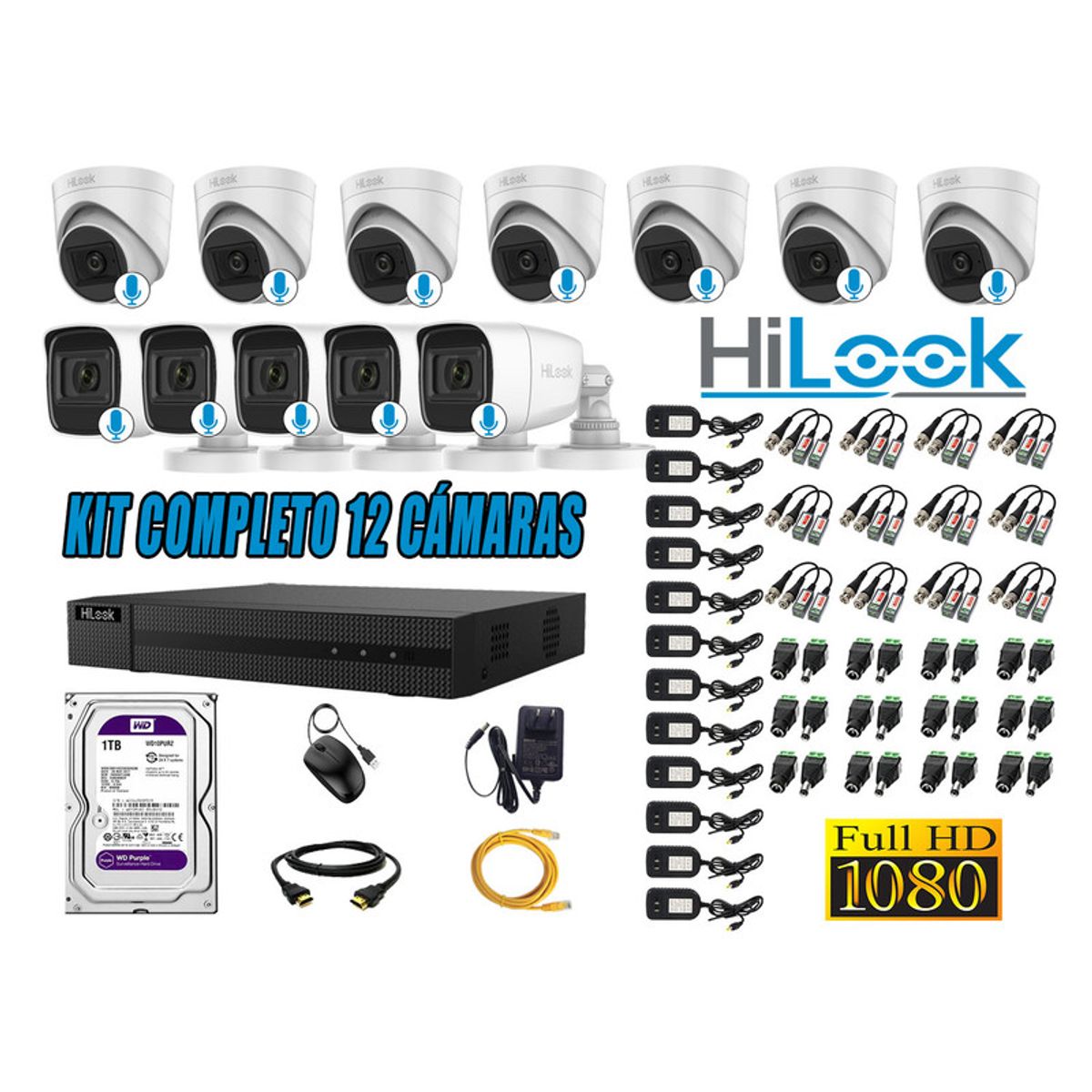 HILOOK - KIT 12 CÁMARAS SEGURIDAD AUDIO INCORPORADO FULL HD 1080P + DISCO 1TB