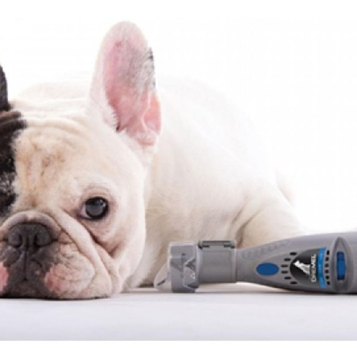 DREMEL - Aditamiento para Limado de Uñas para Mascotas Dremel AT01-PGK