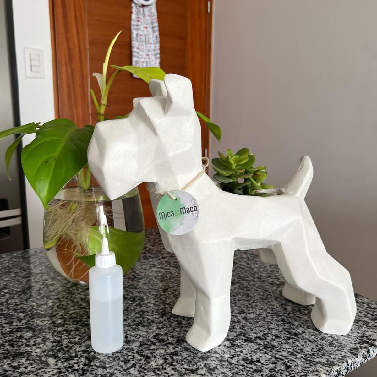 BIOPHILIA - Maceta Pet Friendly Schnauzer