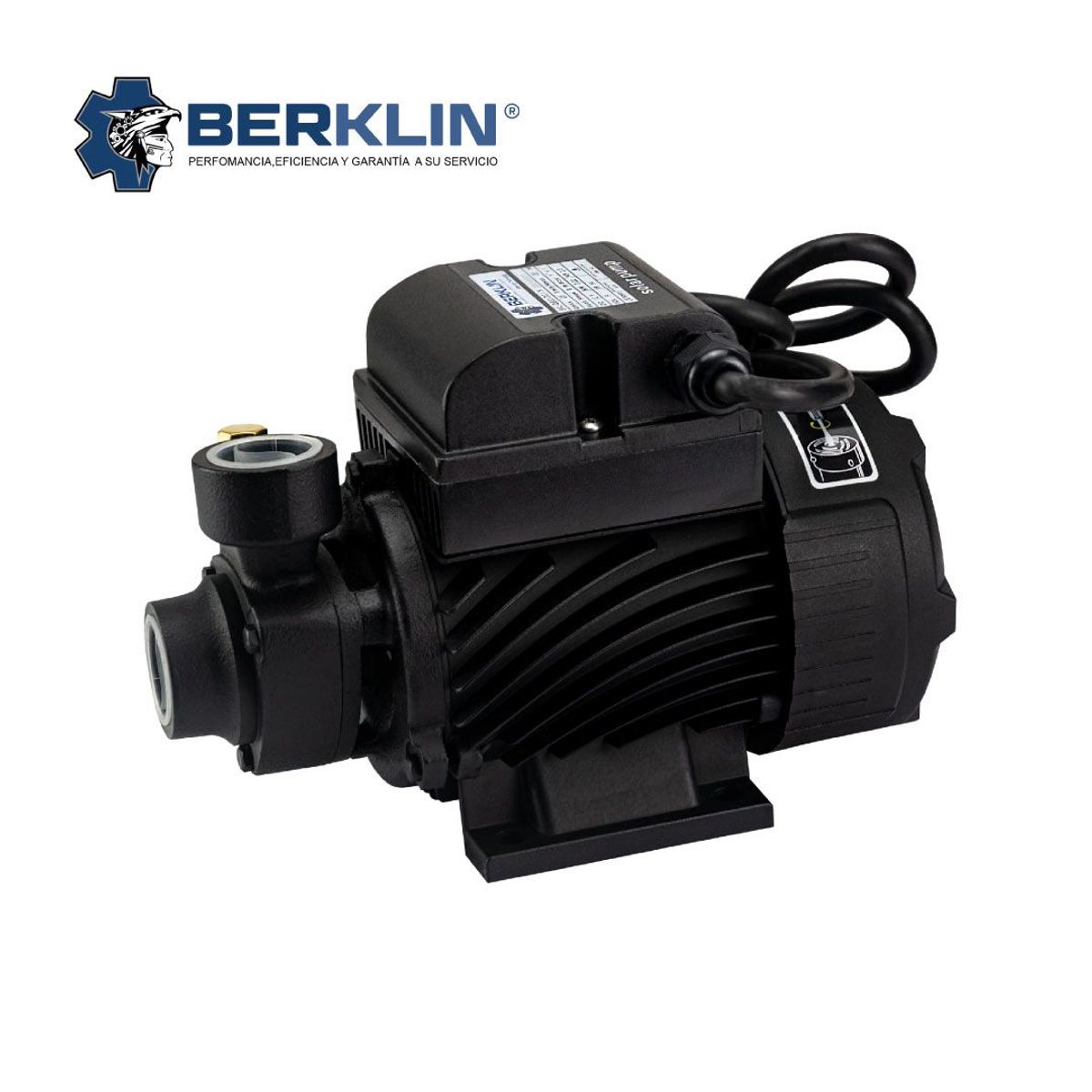 BERKLIN - BOMBA PERIFERICA FOTOVOLTAICA DE 0.3 HP 12V