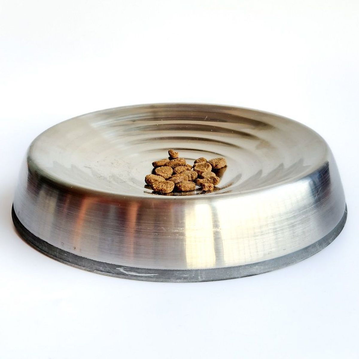 CROCI - Plato de Acero para Gatos - Diseño Cat Spiral