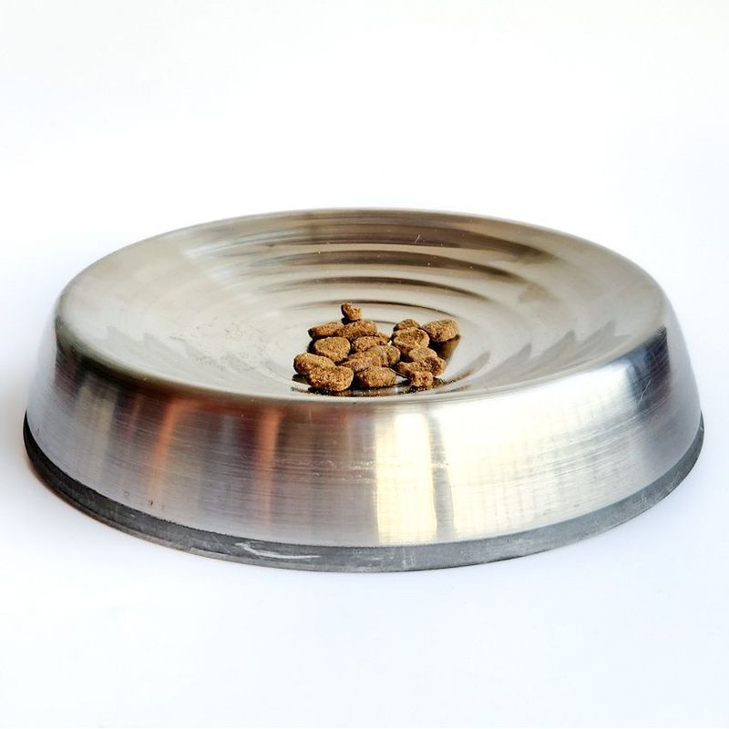 CROCI - Plato de Acero para Gatos - Diseño Cat Spiral