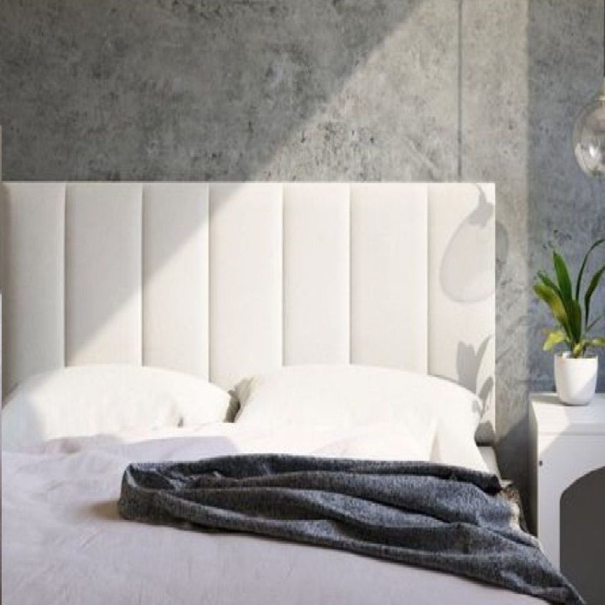 GENERICO - Cabecera Madison Plaza y Media Champagne La Industria