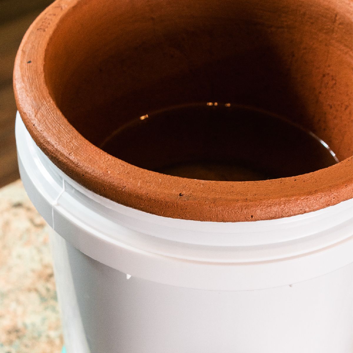 ECOFILTRO - Repuesto Unidad Filtrante para Purificador de Agua Ecofiltro 10 L