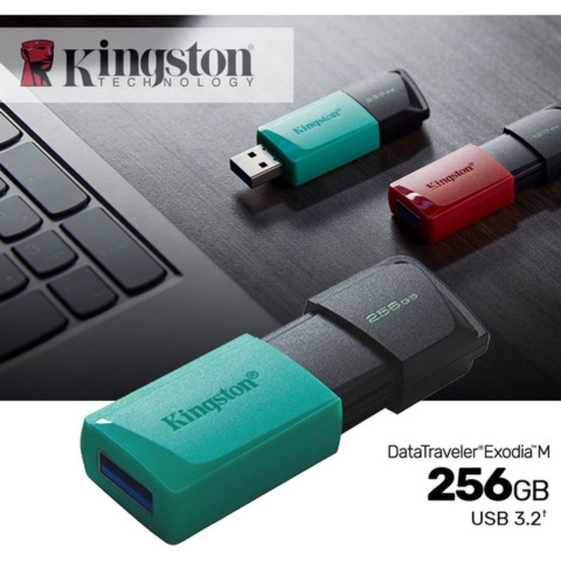 KINGSTON - MEMORIA USB KINGSTON DATA TRAVELER EXODIA M 256 GB