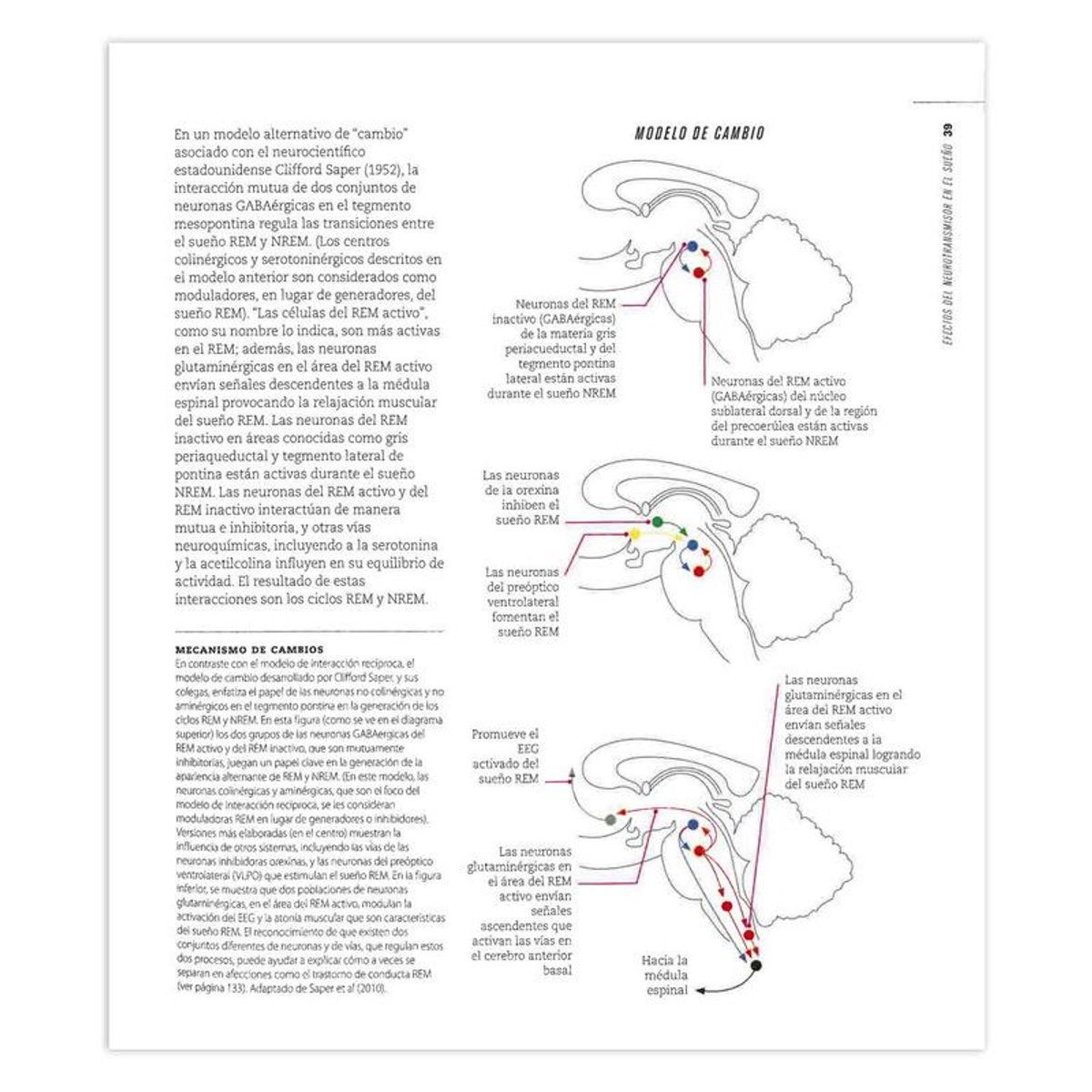 LEXUS - La Ciencia del Sueño