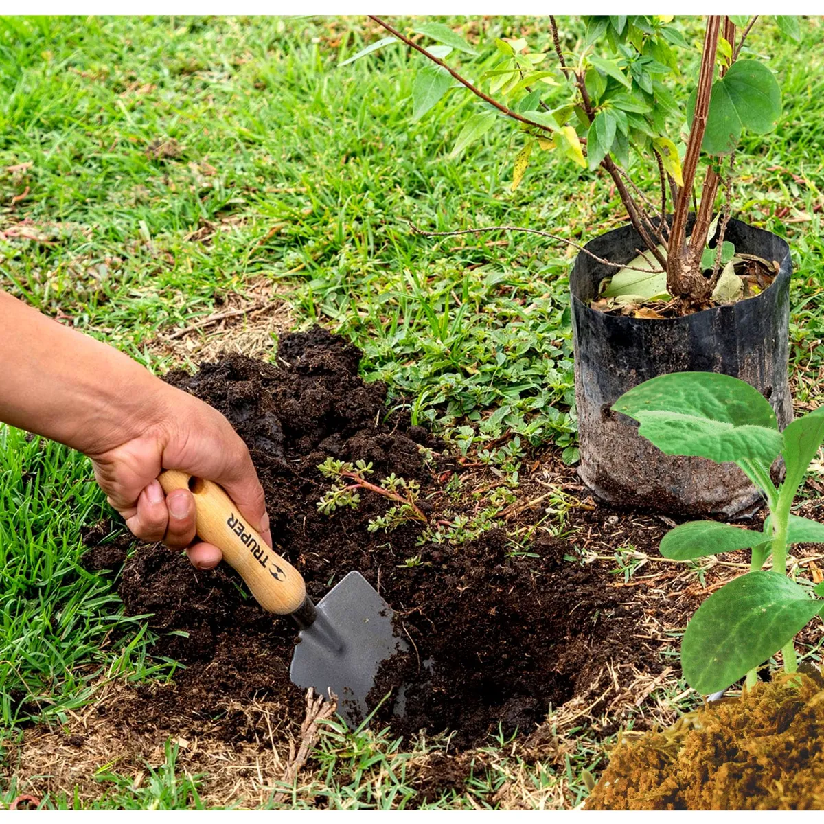 TRUPER - Mini lampa cuchara para jardín 6PulgTruper