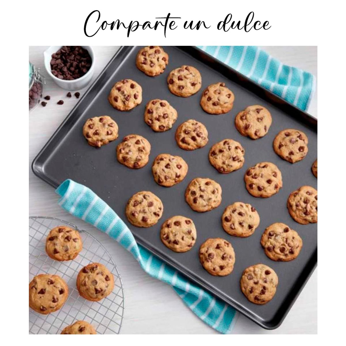 PRESS - MOLDE PARA GALLETAS 38.5 x 27.5 x 1.5 cm Línea Antiadher. - PRESS