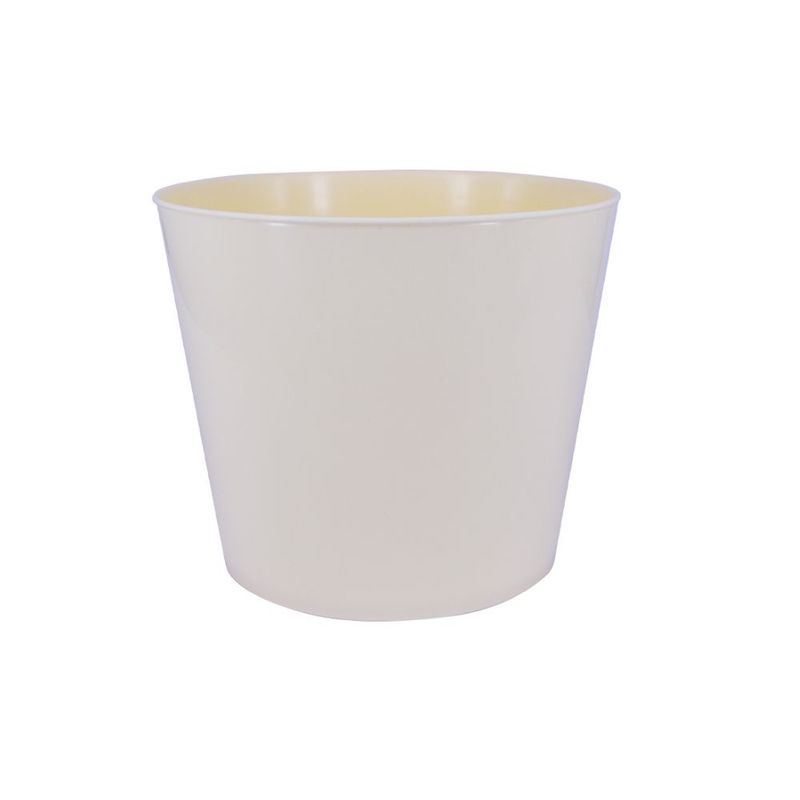BLUE BOX - BALDE CANCHITA CREMA SOLIDO