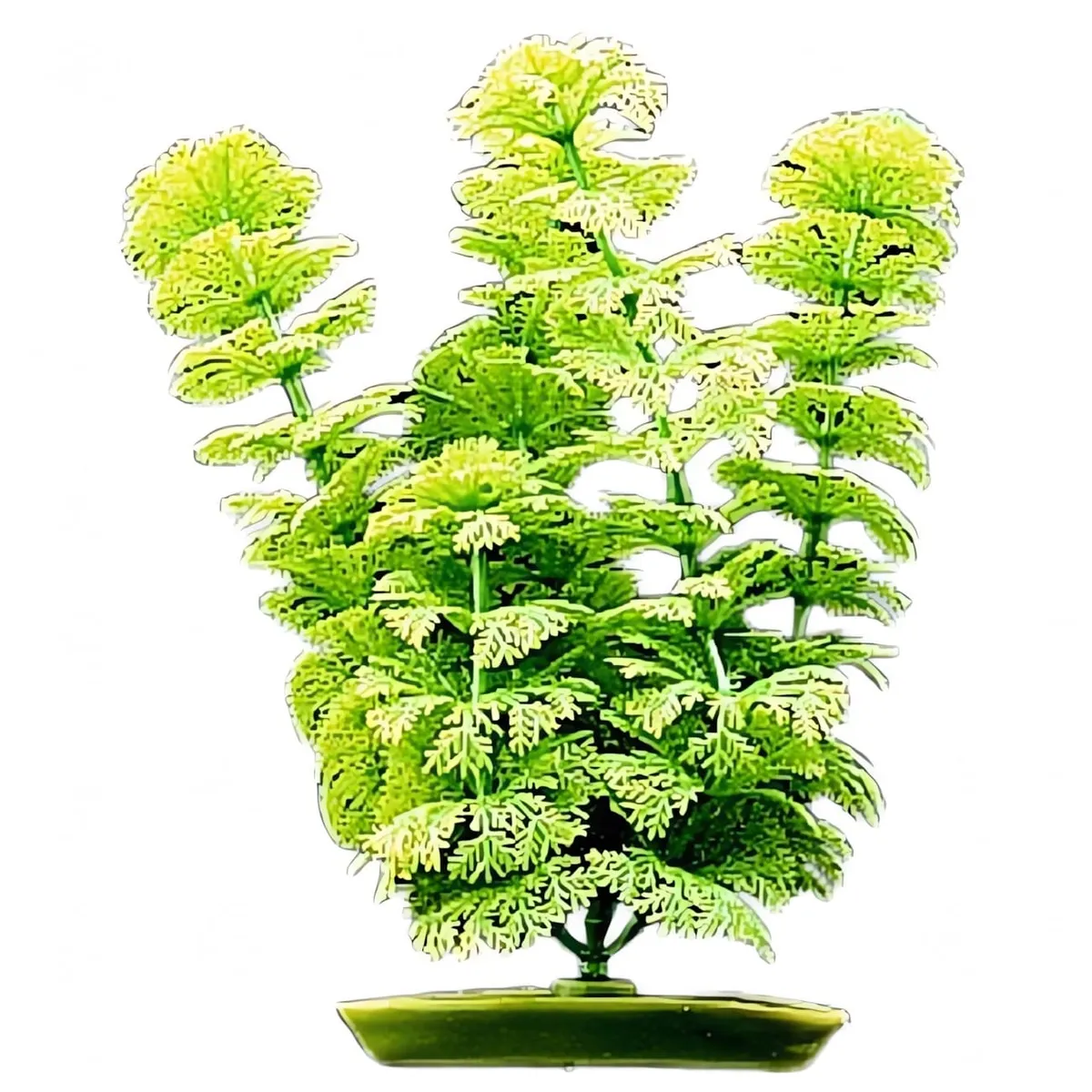 GENERICO - Planta De Plastico AMBULIA 15 pulgadas (38.5 cm.) Hagen