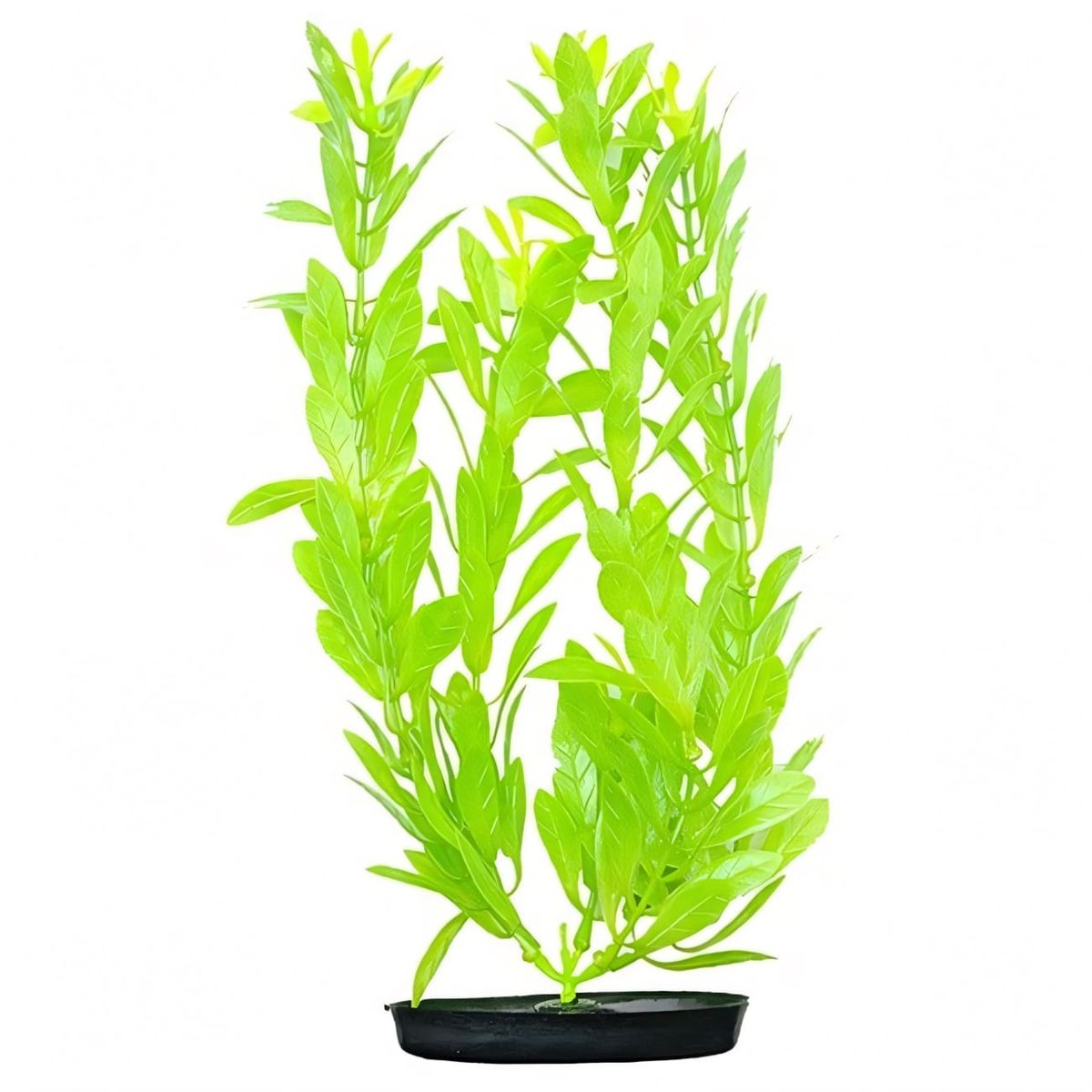 GENERICO - Planta Plastico HIGROPHILA VERDE FOSFORESCENTE 20.3 cm Hagen