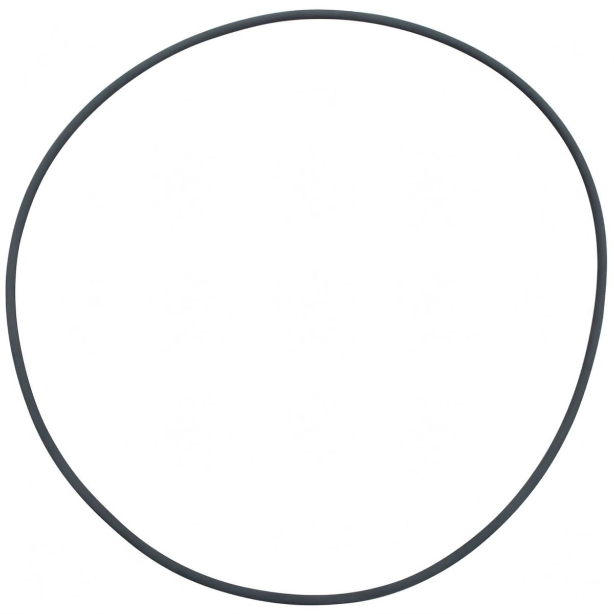 GENERICO - Empaquetadura de Tapa para filtro can.  Fluval FX5/FX6 Hagen