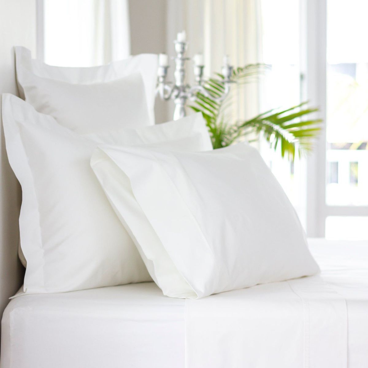 HOME BRANDS - Fundas de almohada Bambú (2 por set)  -Color Blanco