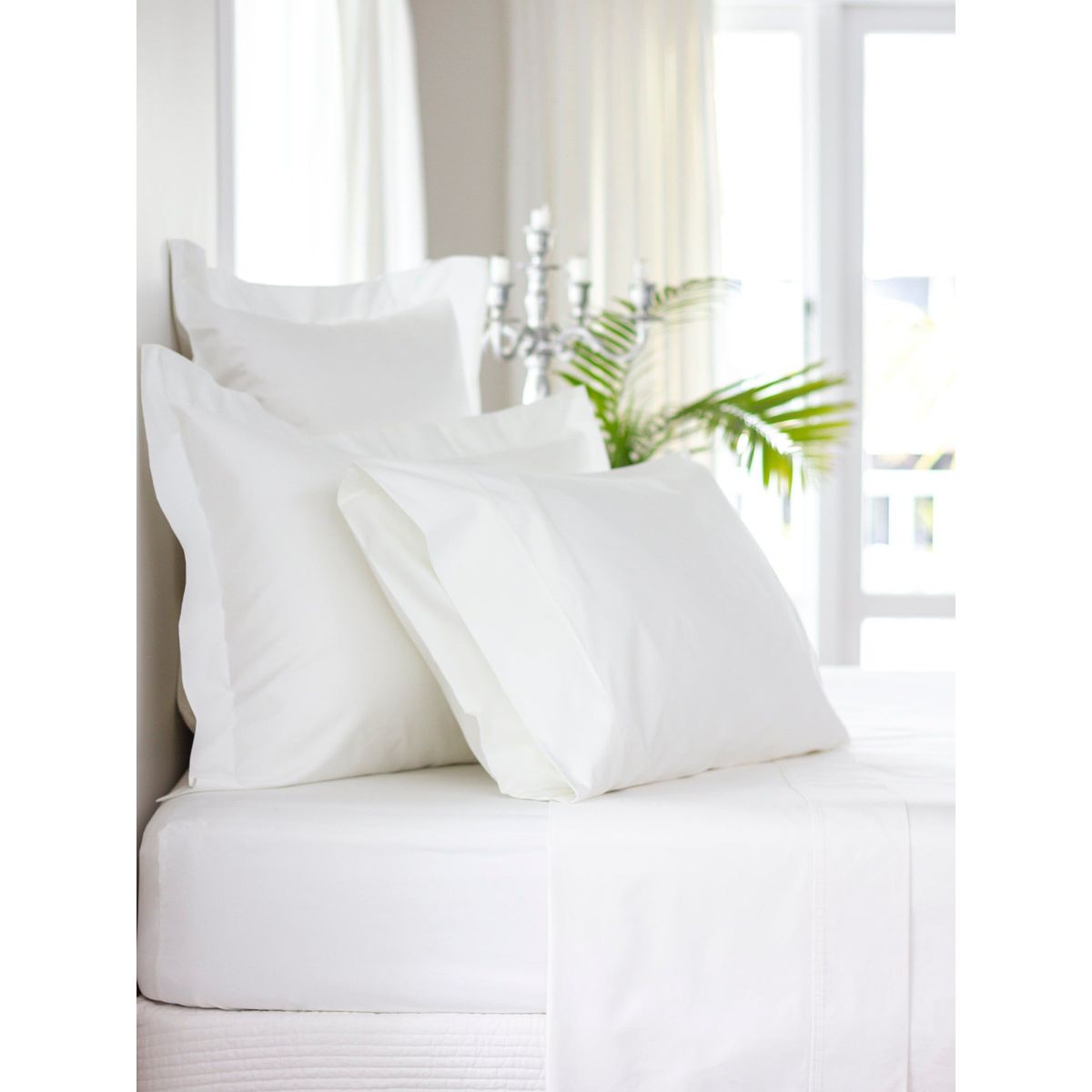 HOME BRANDS - Fundas de almohada Bambú (2 por set)  -Color Blanco