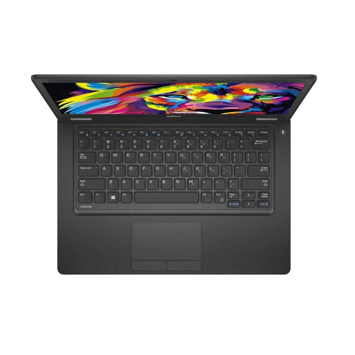 Dell - Laptop Dell Latitude 5480 14" Intel Core i5 1TB SSD 16GB Negro - REACONDICIONADO.