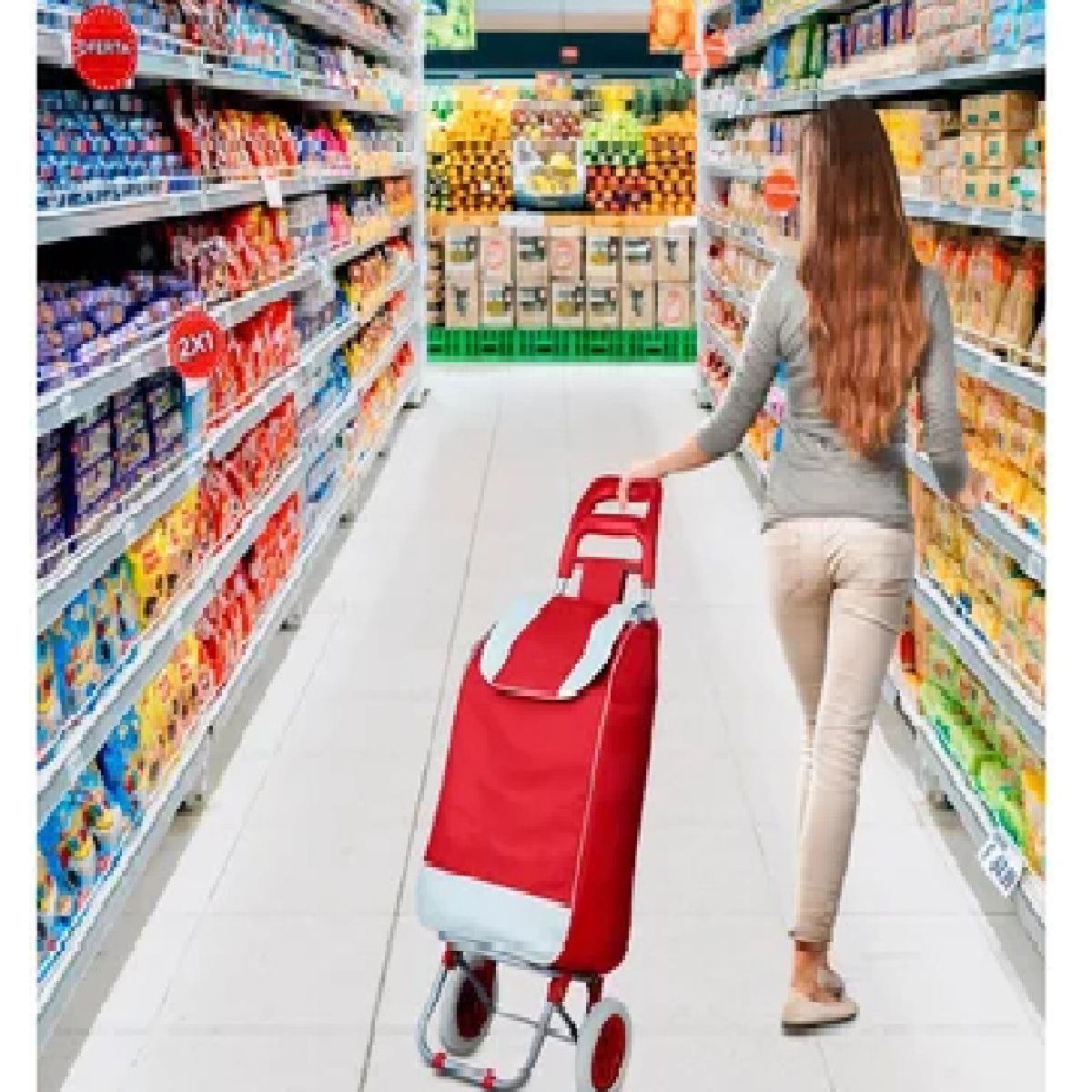 GENERICO - Coche de Compras Carrito Plegable Para Supermercado