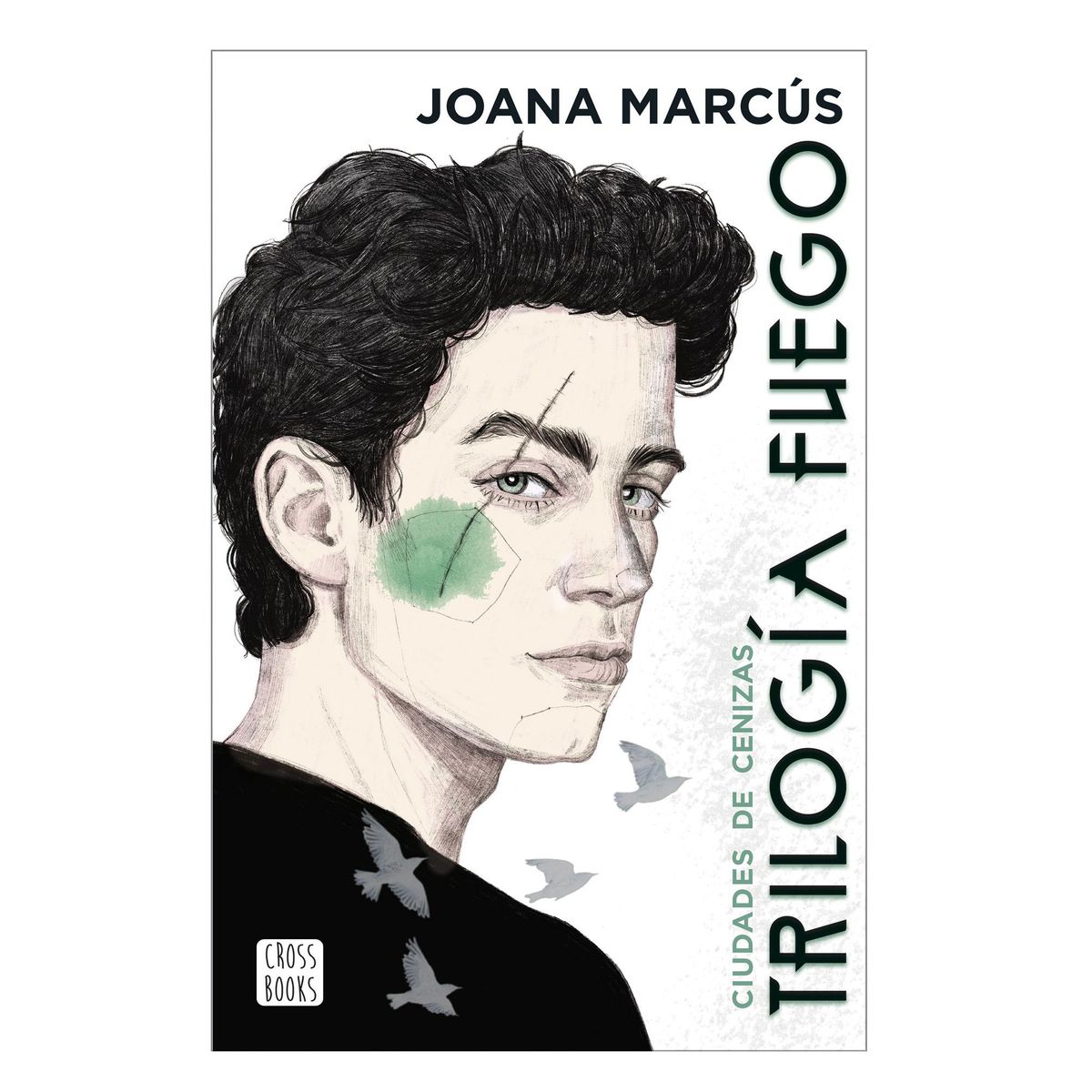 PLANETA - Trilogía fuego 2 Ciudades de cenizas