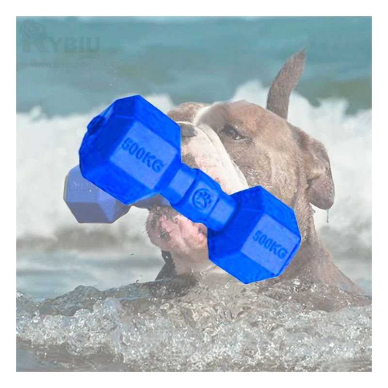 GENERICO - Pesas para Mascota Lion Azul S