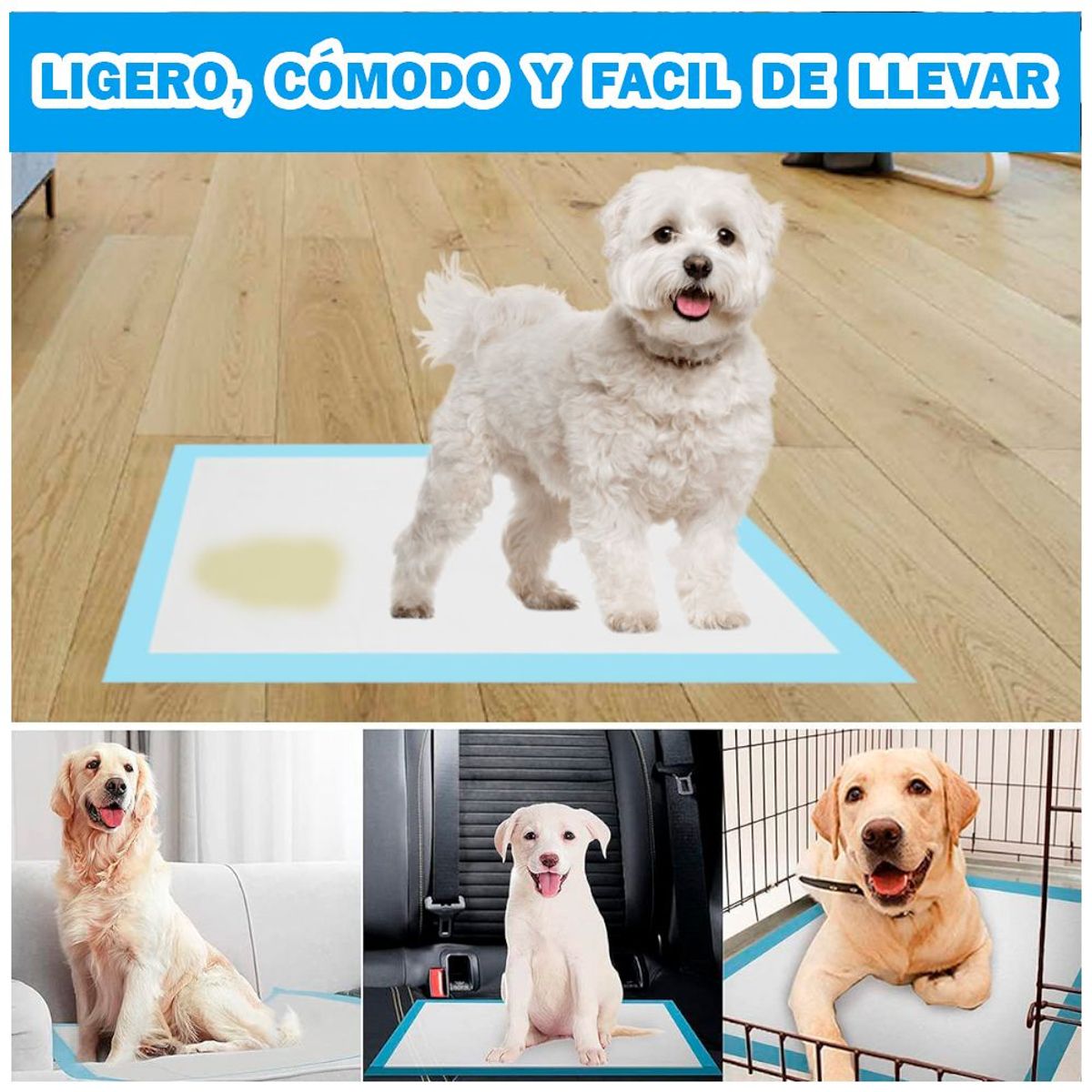 GENERICO - Casa Carpa Mascotas VD Y Pañales de Piso Absorbentes Talla L