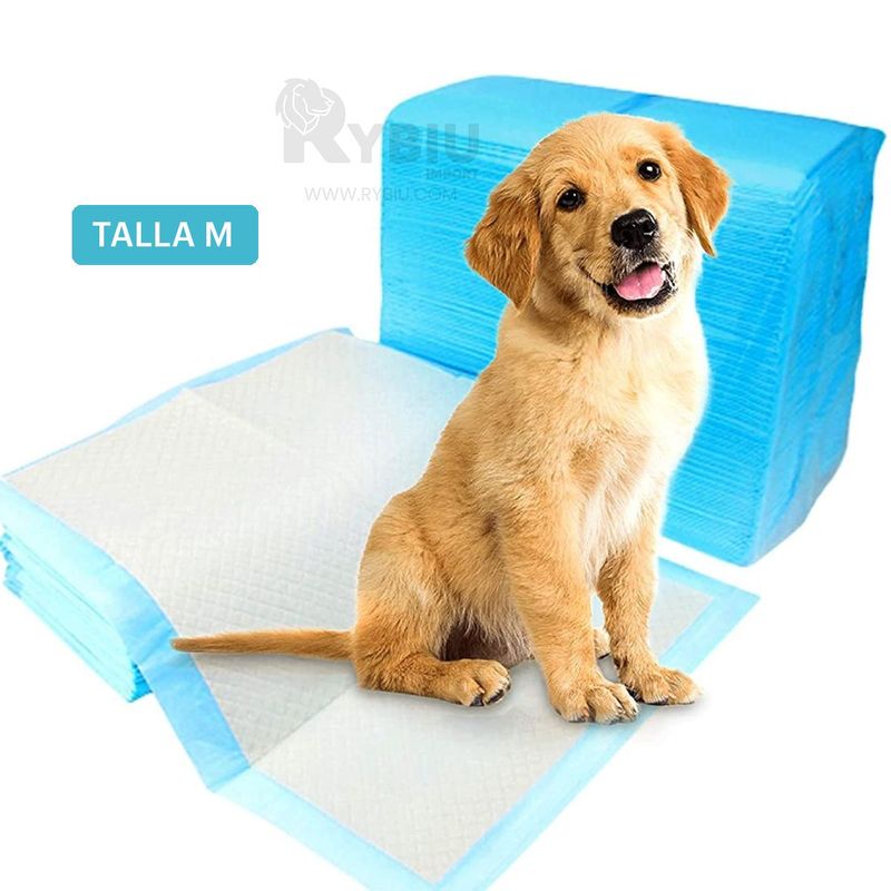 GENERICO - Paño Absorbente Mascota para Piso Celeste