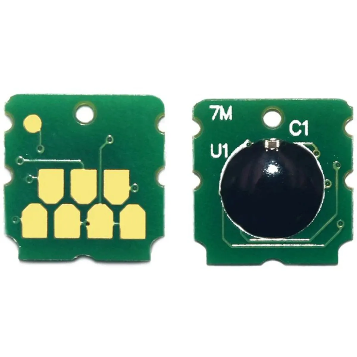 GENERICO - Chip caja mantenimiento epson sc-f170 chip sc-f170