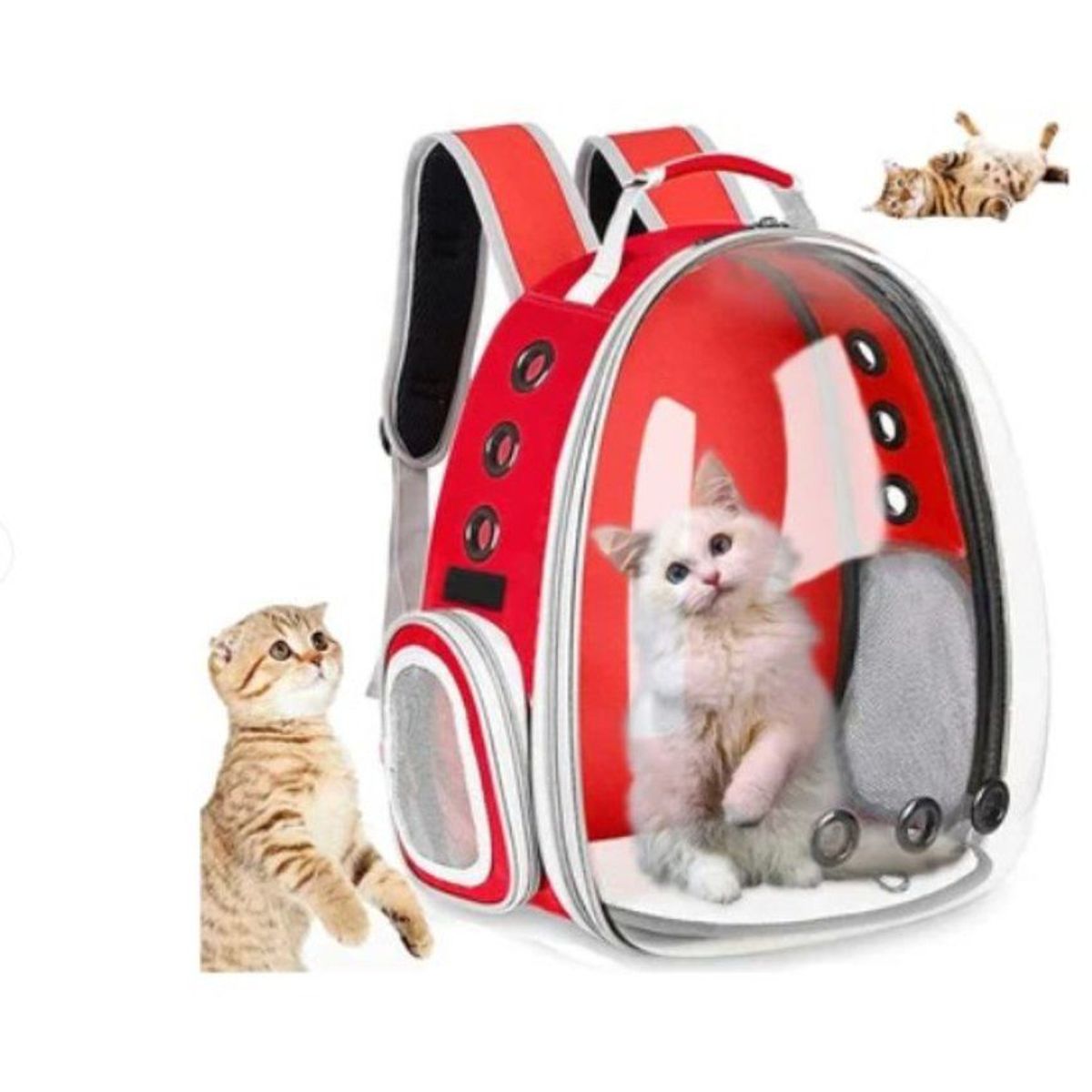 GENERICO - Mochila para gato mascota perro todo transparente -  rojo