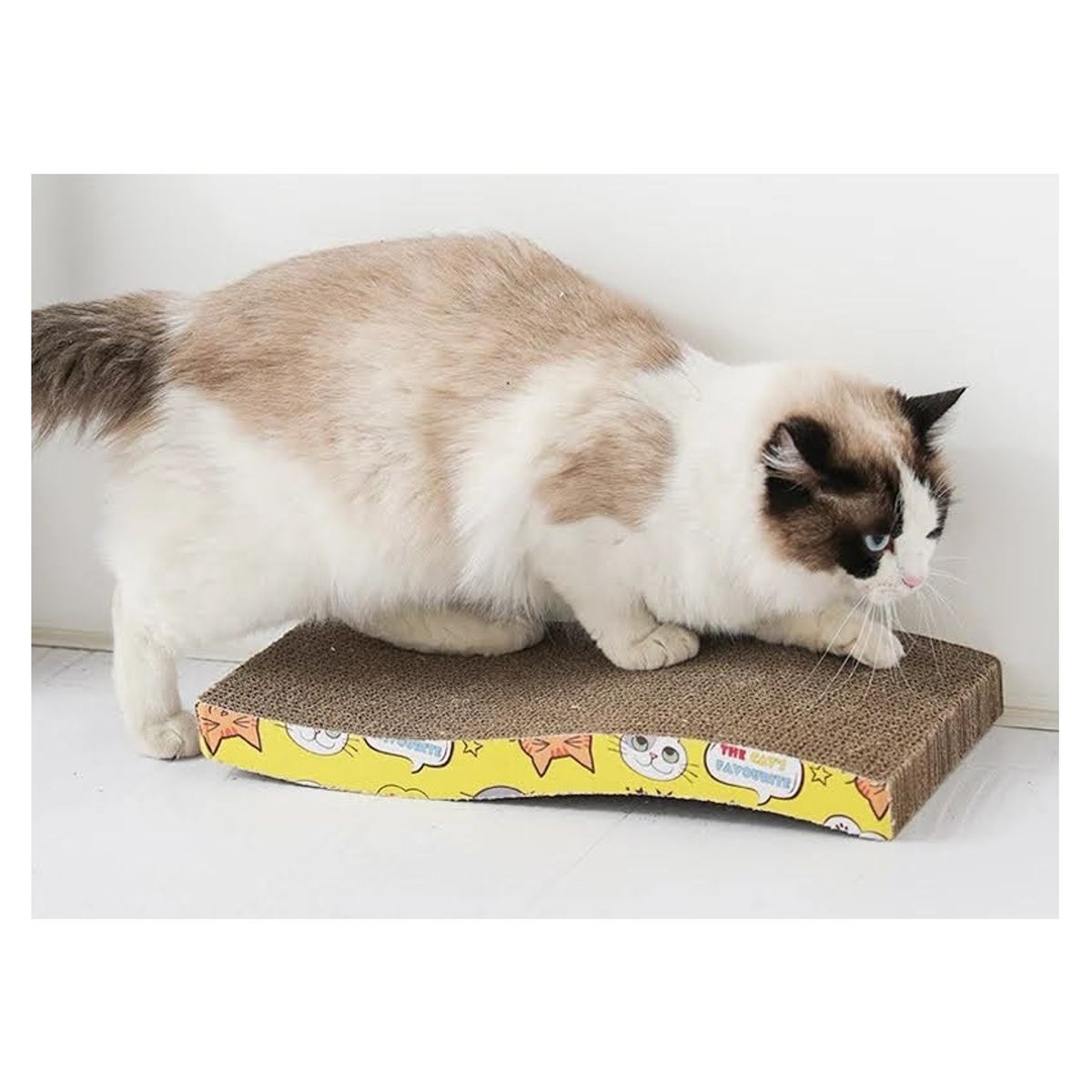 GENERICO - Rascador de cartón ecologico para gato