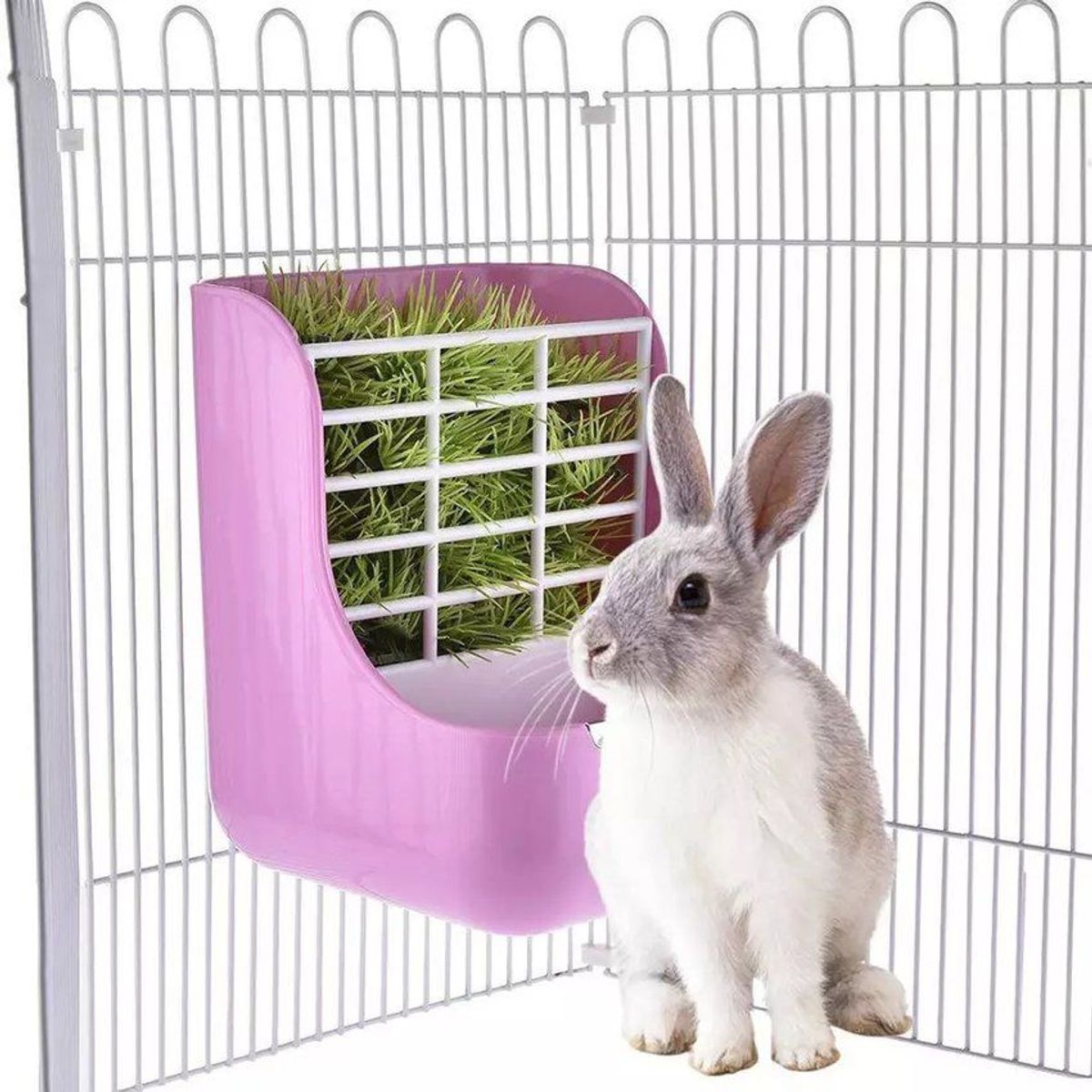 GENERICO - Comedero Henera Original para Conejo Plato para Heno-Rosado