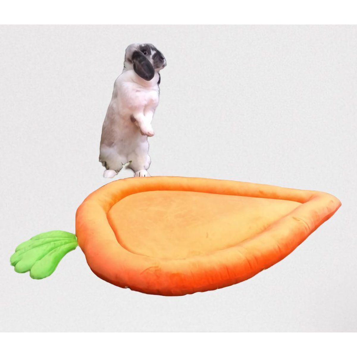 GENERICO - Cama para conejo zanahoria - reversible hipoalergenica