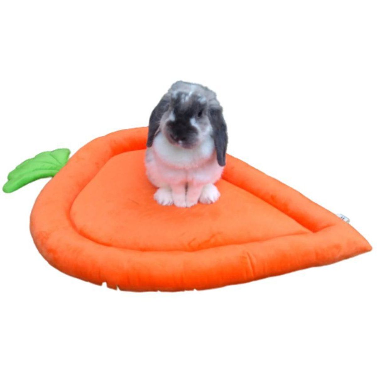 GENERICO - Cama para conejo zanahoria - reversible hipoalergenica
