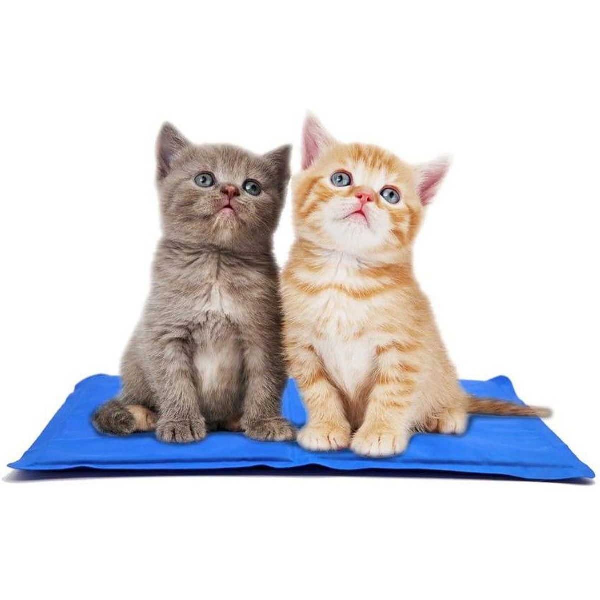 GENERICO - Colchoneta Cool Pet manta refrescante Talla S 40x30cm azul