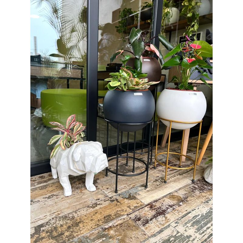 BIOPHILIA - Maceta Pet Friendly  CHANCHI